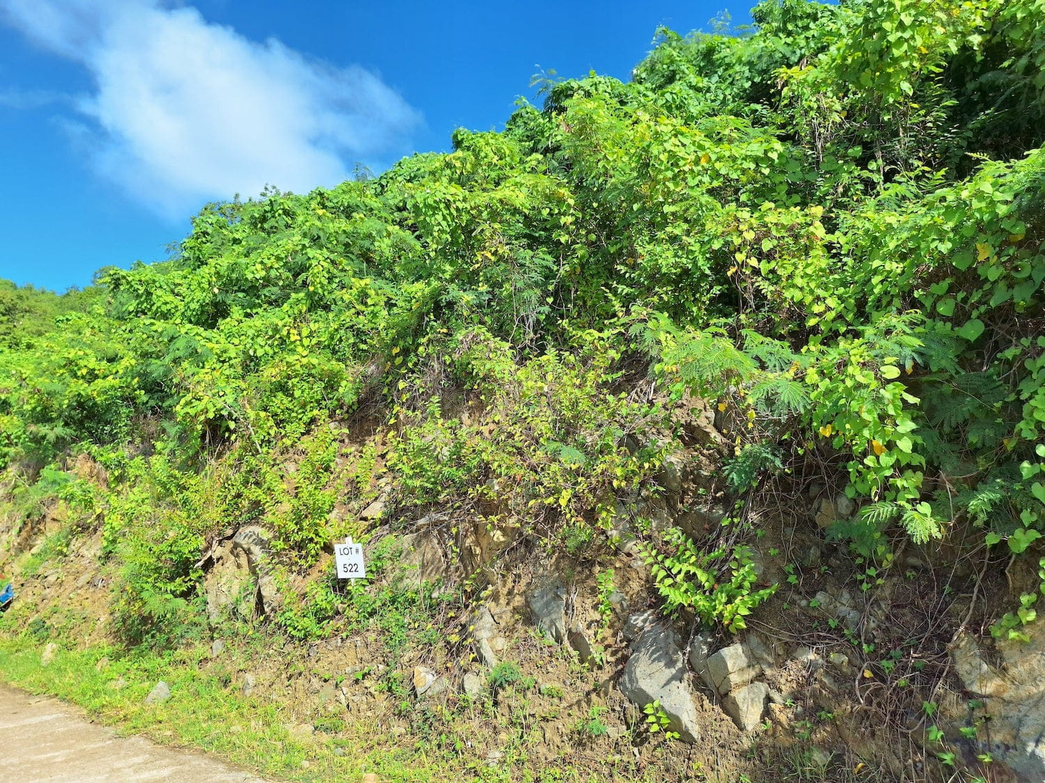 valley estate lot for sale ebenezer sxm sint maarten radiance realty