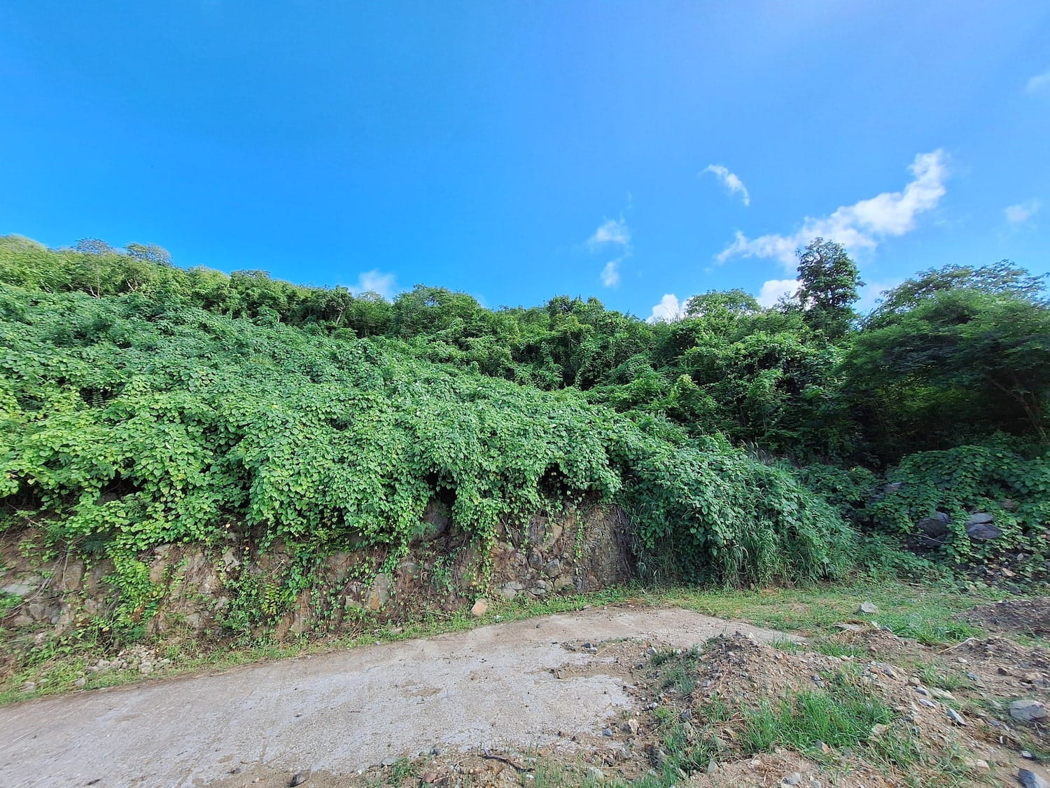 valley estate lot for sale ebenezer sxm sint maarten radiance realty