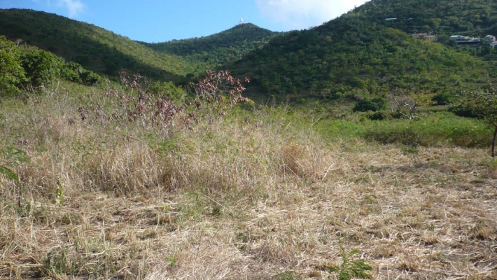 Land, For sale, Listing ID 3021, Cole Bay, St. Maarten,