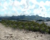 Land, For sale, Listing ID 3039, Maho, St. Maarten,