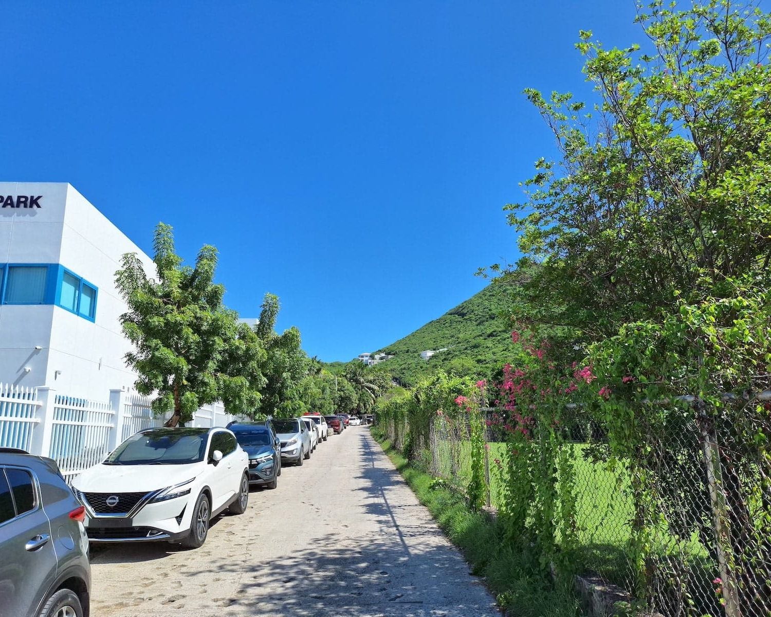 petrel drive sint maarten philipsburg