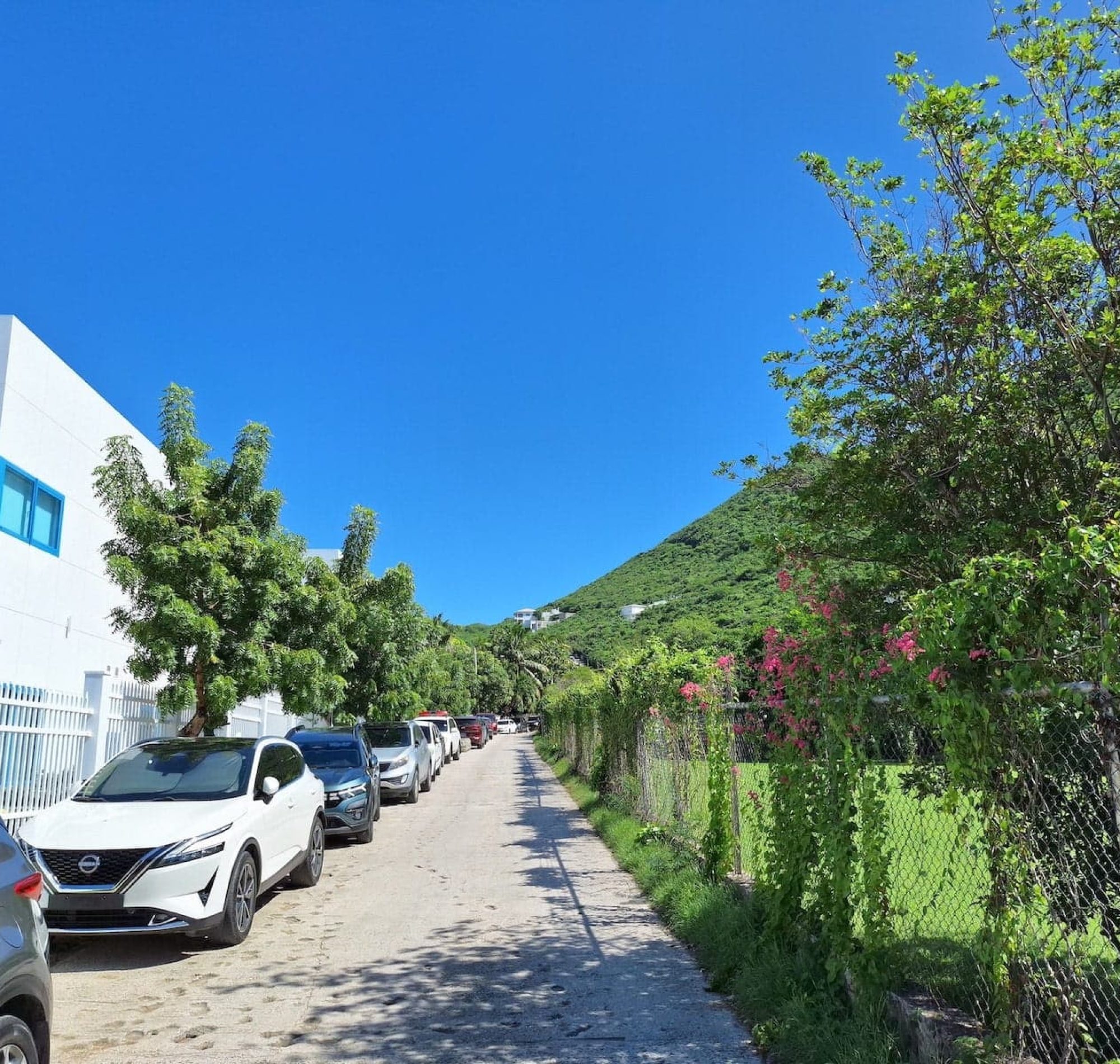 petrel drive sint maarten philipsburg