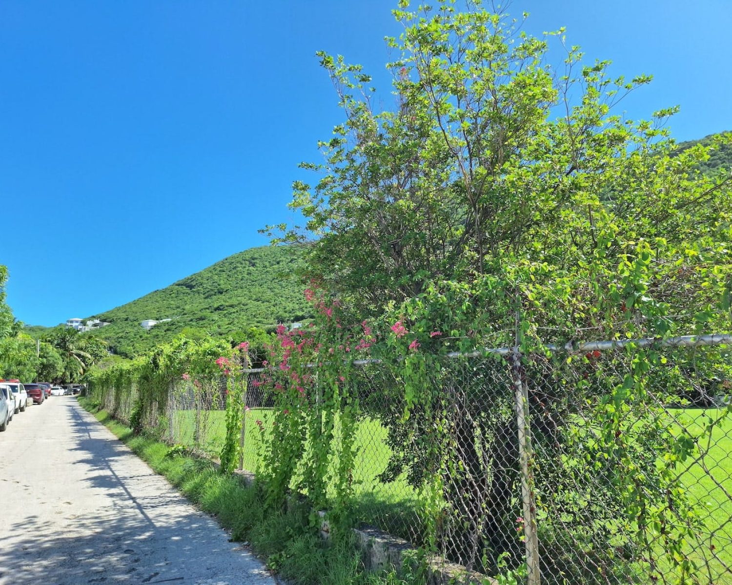 petrel drive st maarten philipsburg