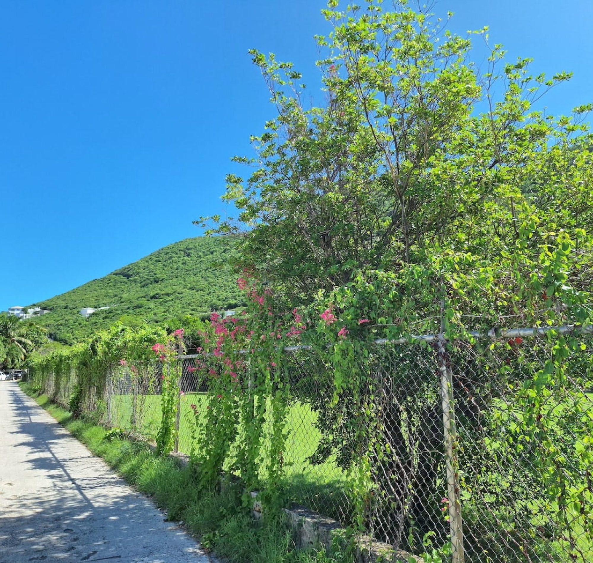 petrel drive st maarten philipsburg