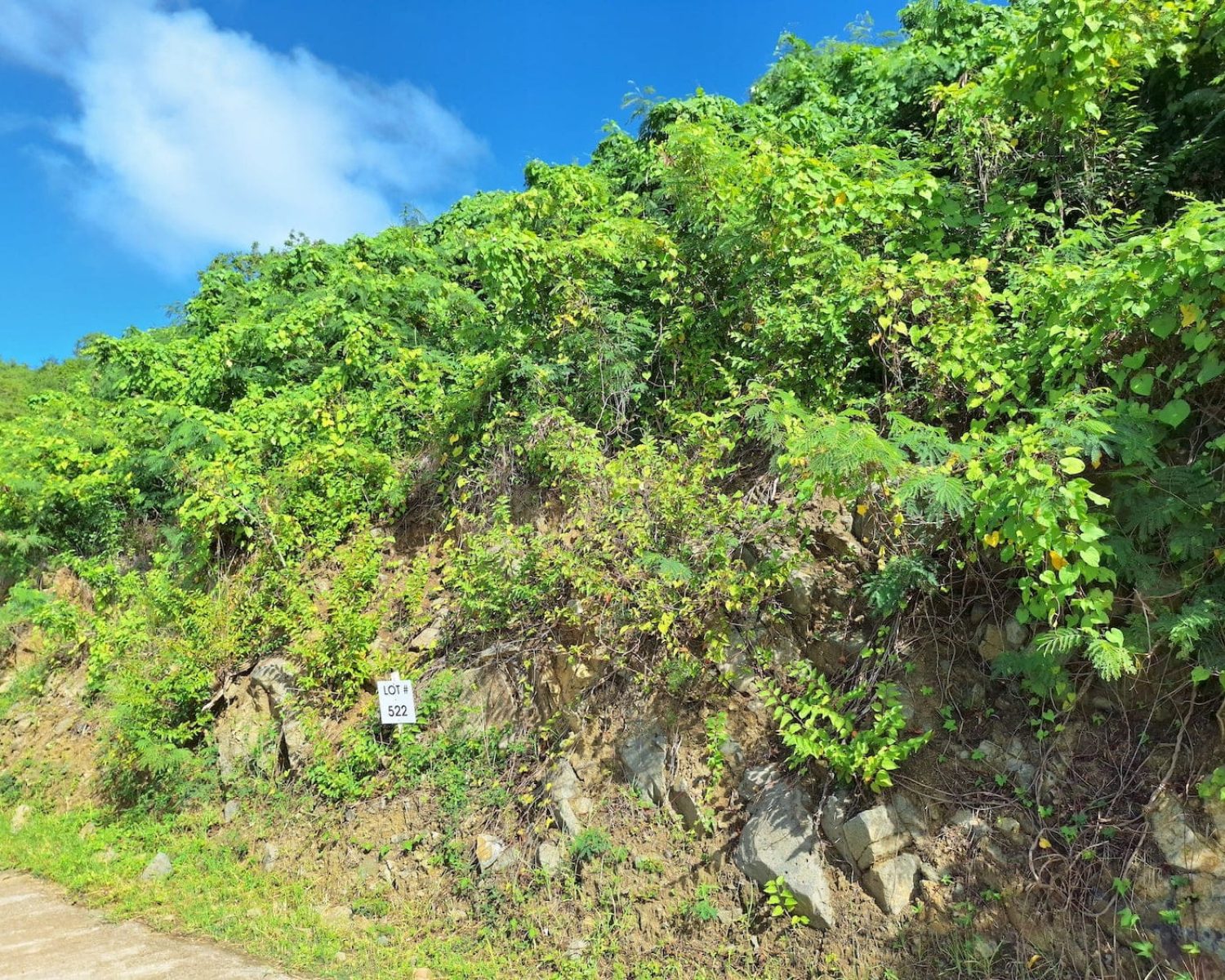 valley estate lot for sale ebenezer sxm sint maarten radiance realty