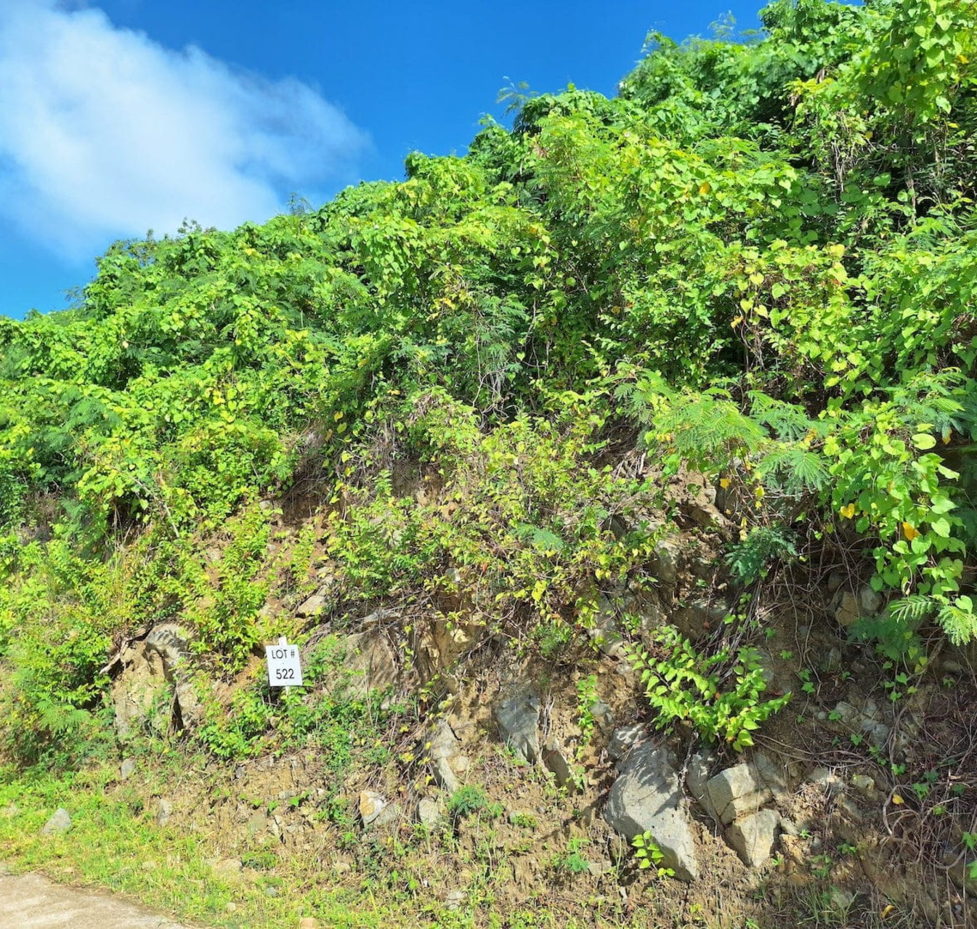 valley estate lot for sale ebenezer sxm sint maarten radiance realty