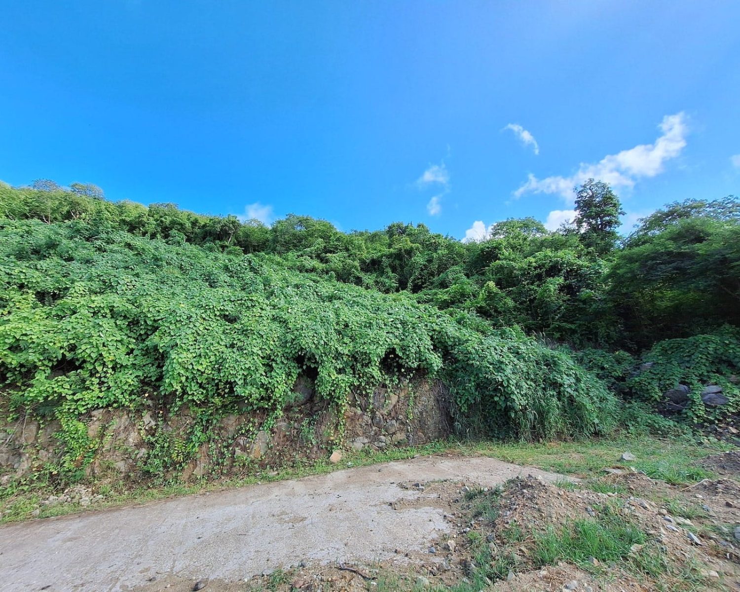 valley estate lot for sale ebenezer sxm sint maarten radiance realty