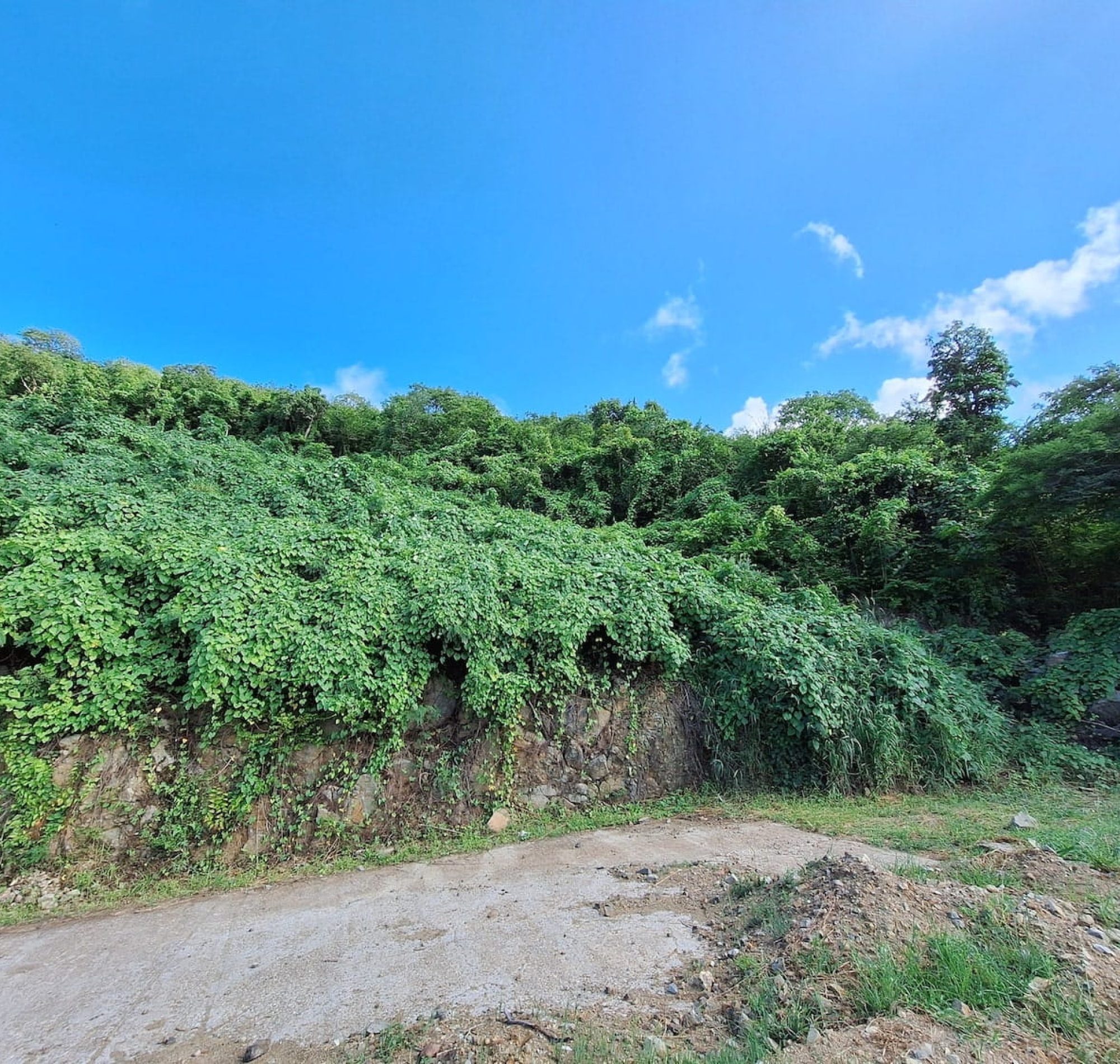 valley estate lot for sale ebenezer sxm sint maarten radiance realty